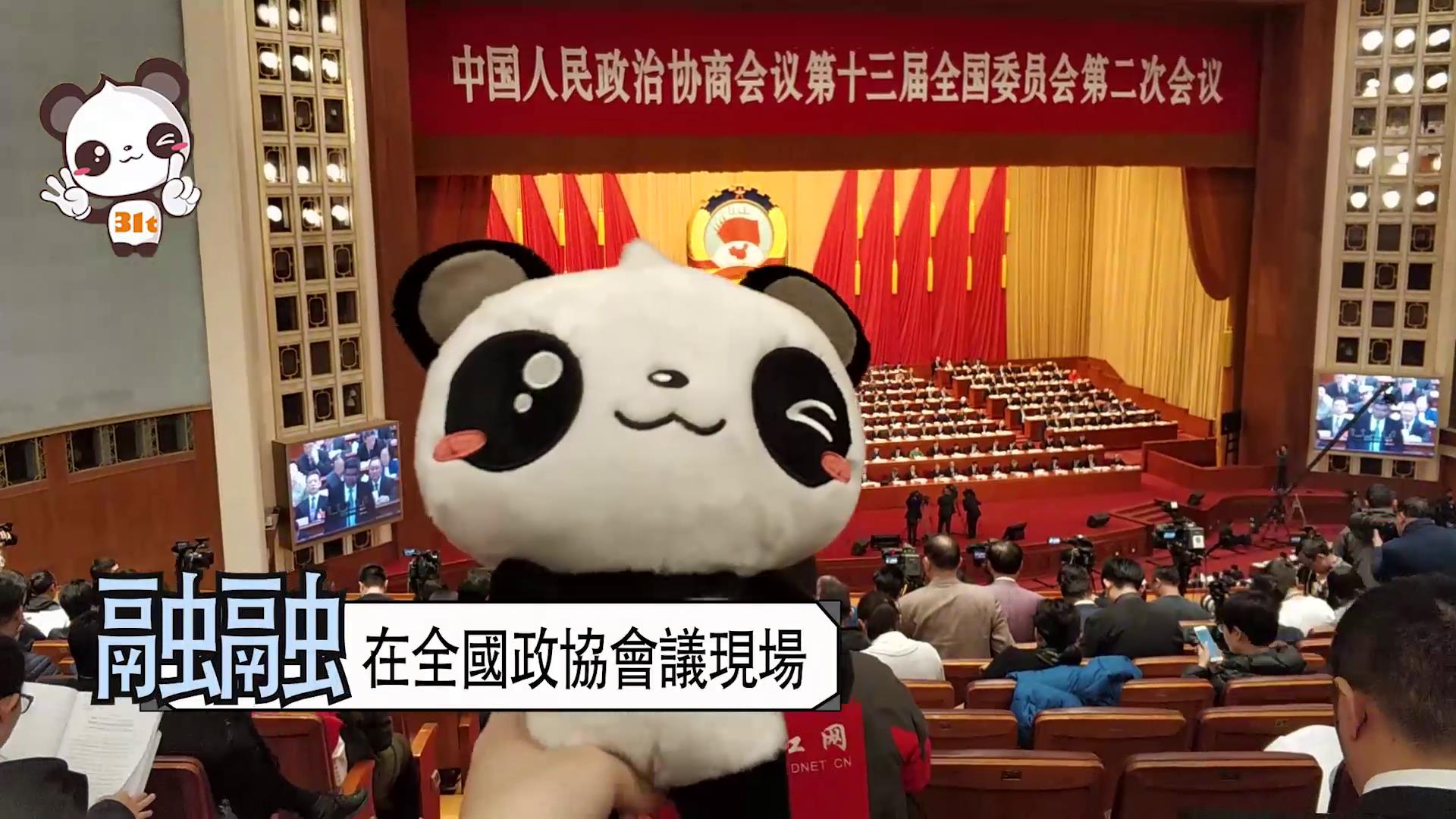 融融vlog:大會(huì)堂里打卡 又忙又Q圖片