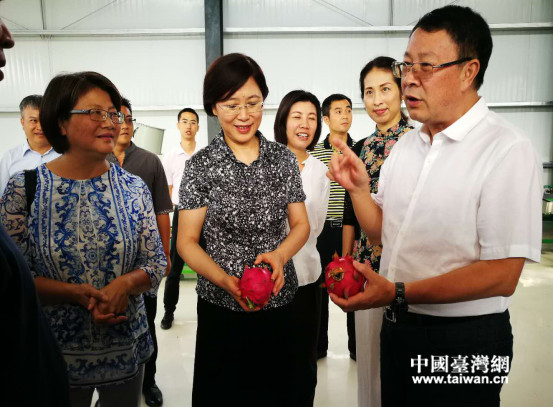 參觀火龍果車間 參觀火龍果車間