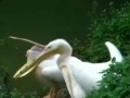 r(nng)(chng)Yʧ ɚqͯ^ɵ