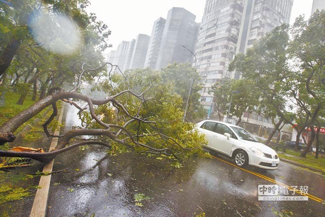 臺風“鲇魚”侵臺 全臺4死316傷(圖) 臺風“鲇魚”侵臺 全臺4死316傷(圖)