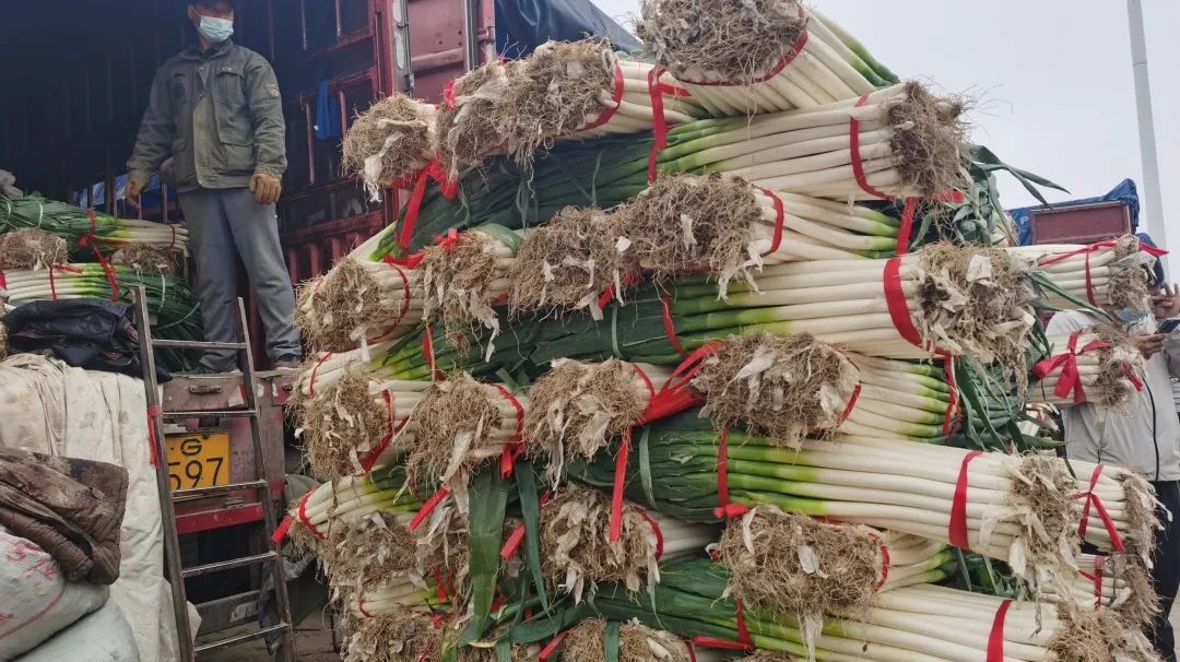 岳各莊臨時休市,新發(fā)地增大上市量,首都“菜籃子”供應(yīng)充足