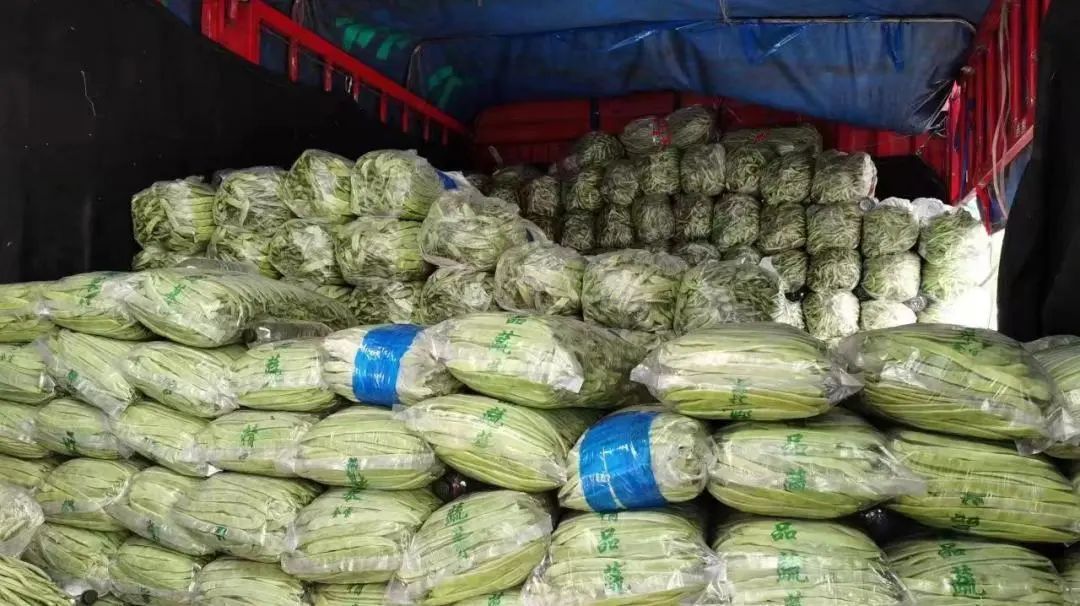 岳各莊臨時休市,新發(fā)地增大上市量,首都“菜籃子”供應(yīng)充足