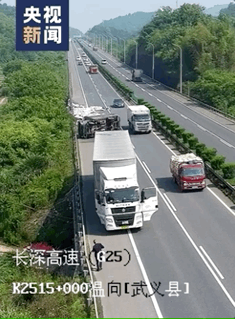 高速路上,他們突然停車了!
