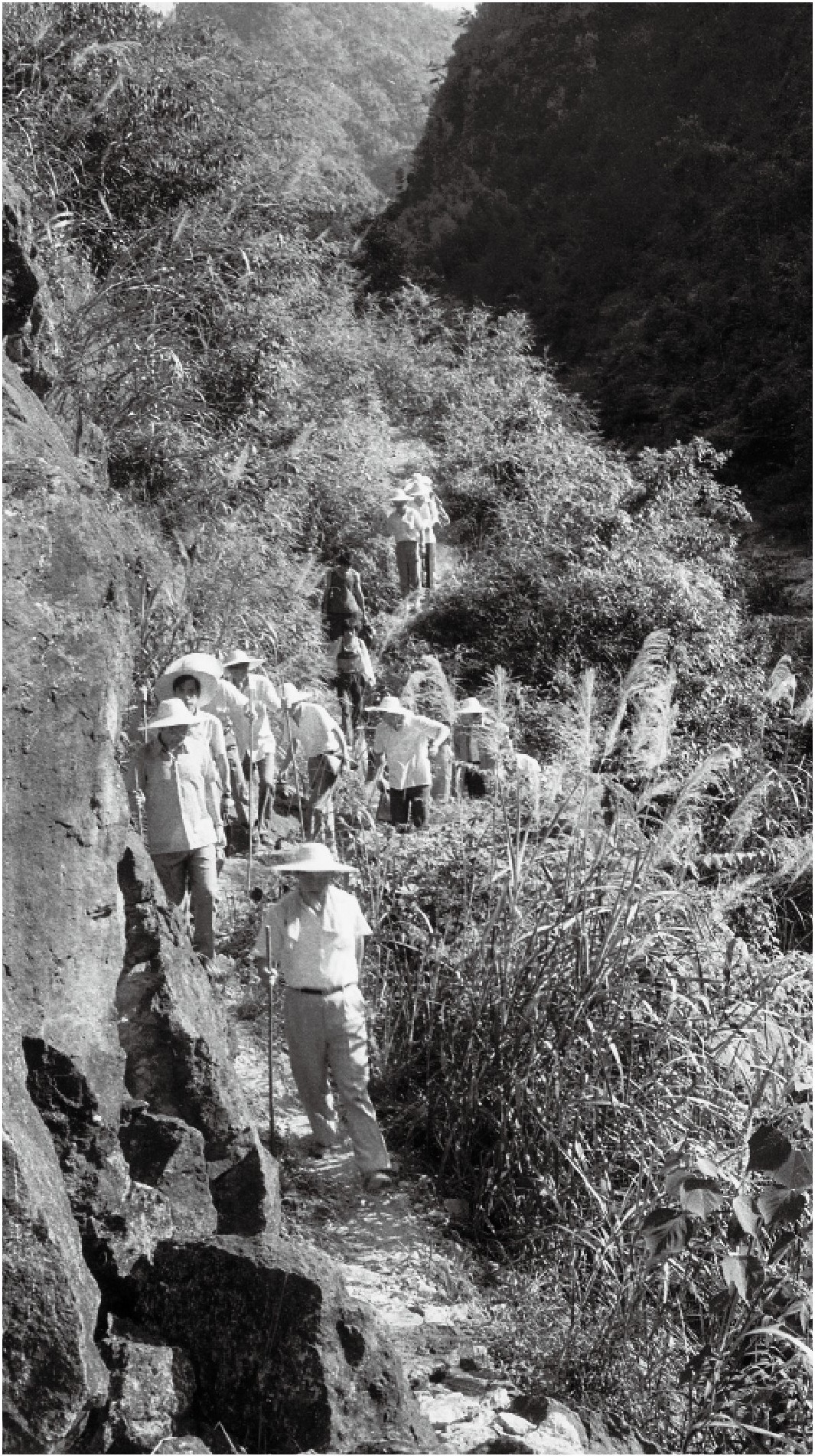 19897£ƽһеیhhl{С