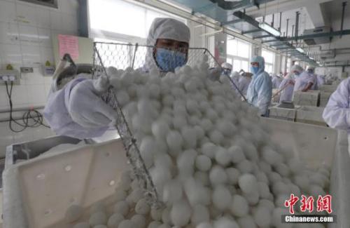 201728TӾoaԪԪֺYӛ ɼ z