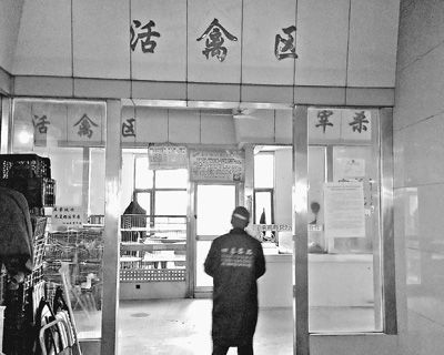 這是南京市仙林農貿市場內的活禽交易區,活禽市場都已關閉。