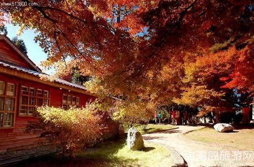 APEC小長假 來場說走就走的臺(tái)灣金秋游 APEC小長假 來場說走就走的臺(tái)灣金秋游